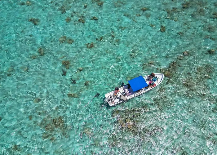 Sky Blue Reef Tours * San Pedro (Ambergris Caye)